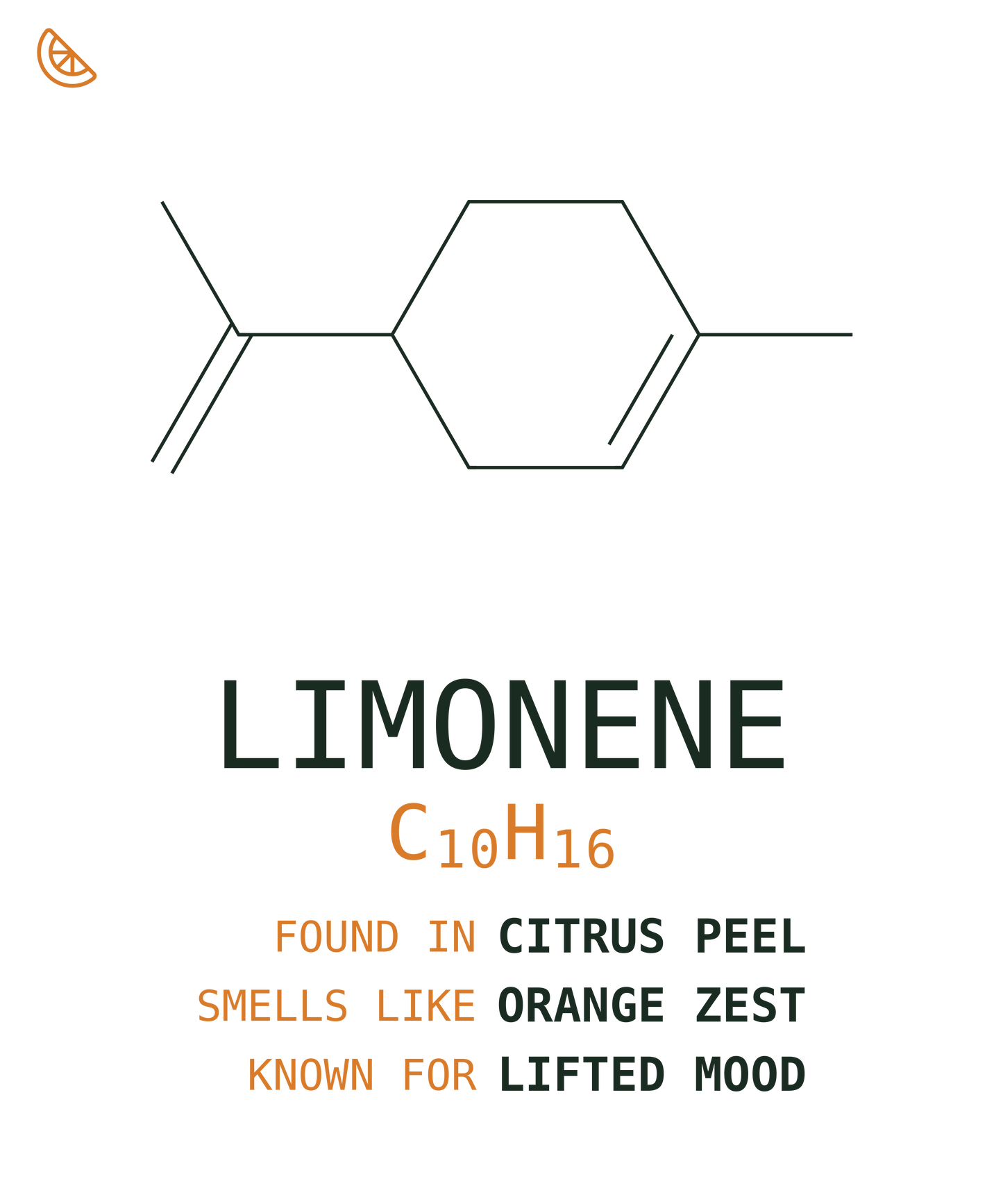 Limonene Tee — Citrus