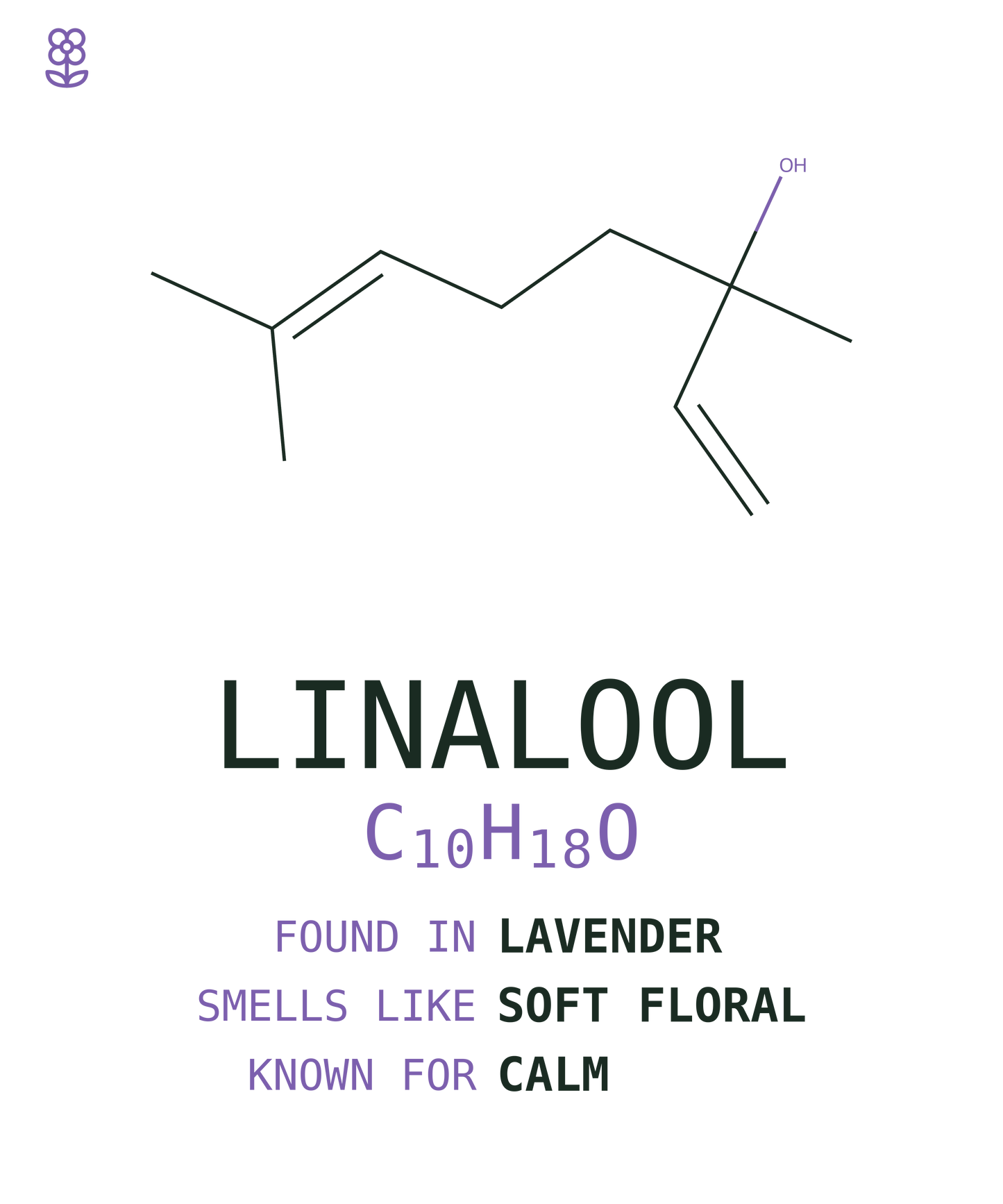 Linalool Tee — Lavender