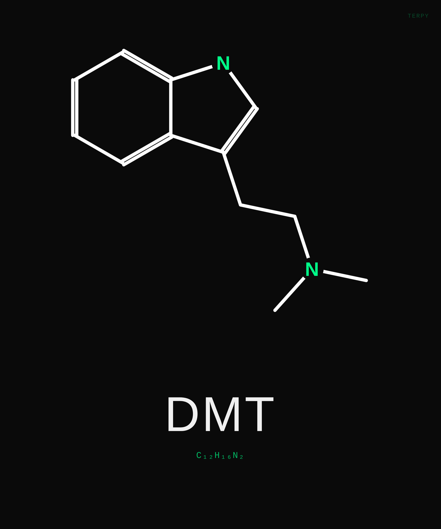 DMT Molecule Tee