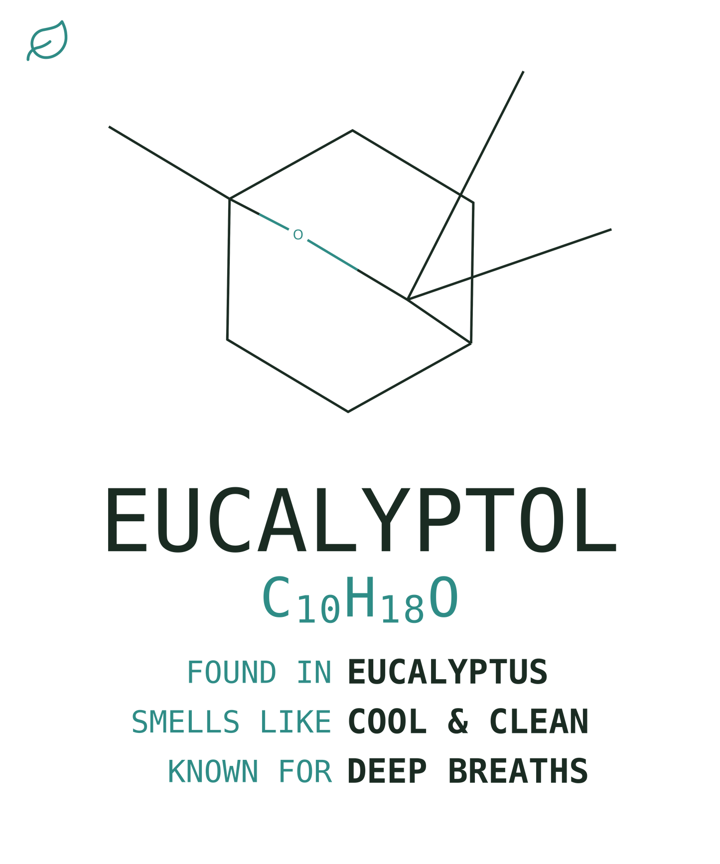 Eucalyptol Tee — Eucalyptus