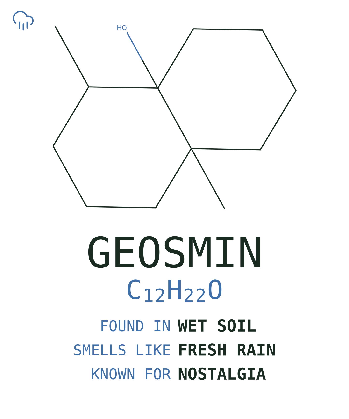 Geosmin Tee — Petrichor