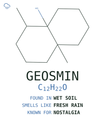Geosmin Tee — Petrichor