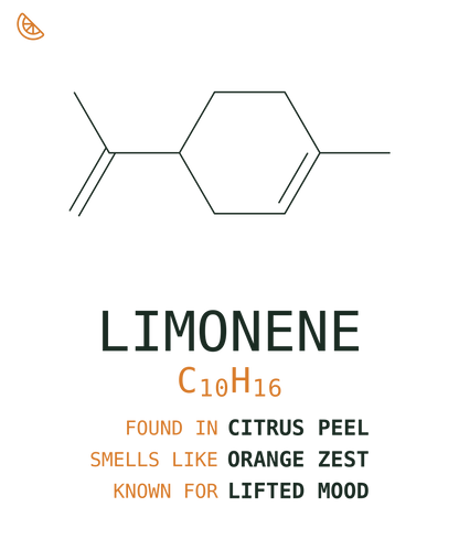 Limonene Tee — Citrus