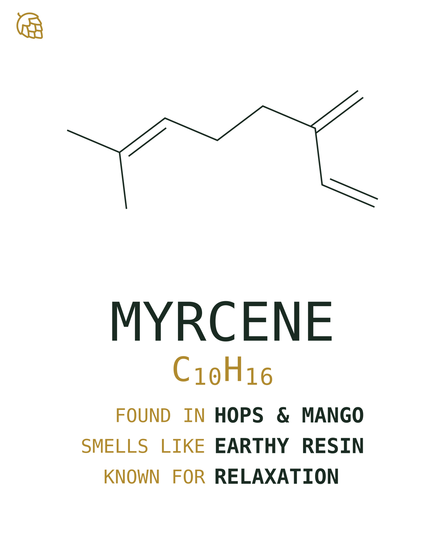 Myrcene Tee — Wild Hops