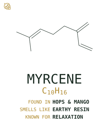 Myrcene Tee — Wild Hops