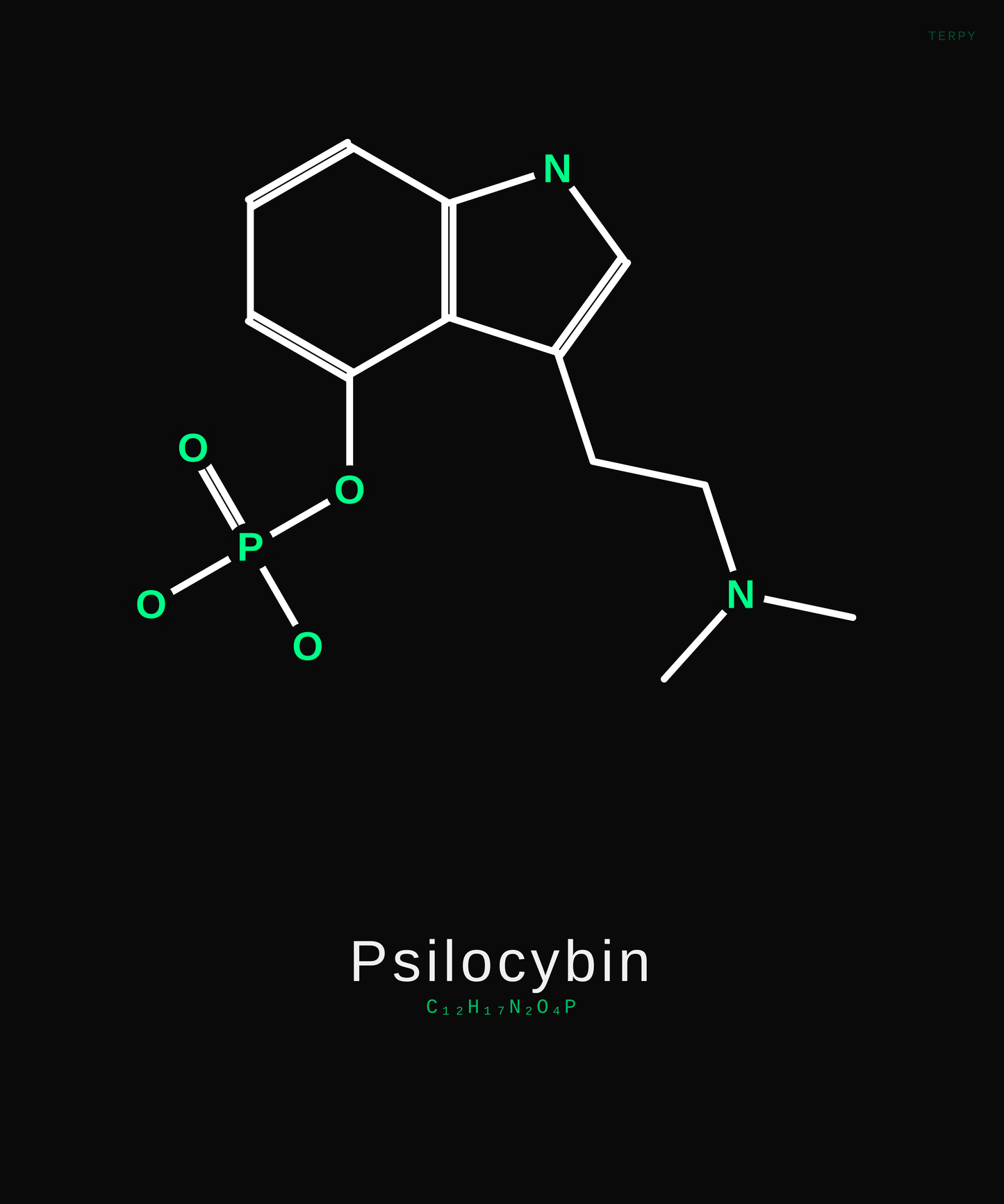 Psilocybin Molecule Tee